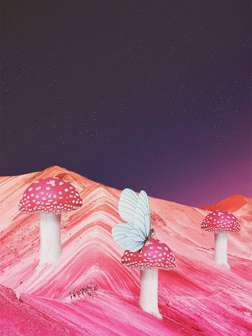 Life On Mars Amanda Tidstrand 