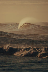 Morning Curls Garrett King 