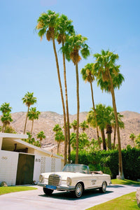 Palm Springs Sol Rapson 