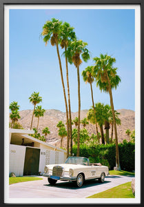 Palm Springs Sol Rapson 