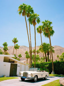 Palm Springs Sol Rapson 