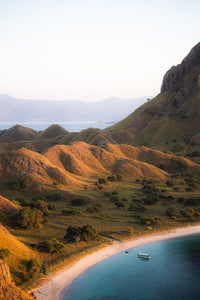 Peace In Komodo Mario Stefanelli 