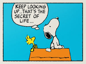 PEANUTS - Keep Looking Up Peanuts 