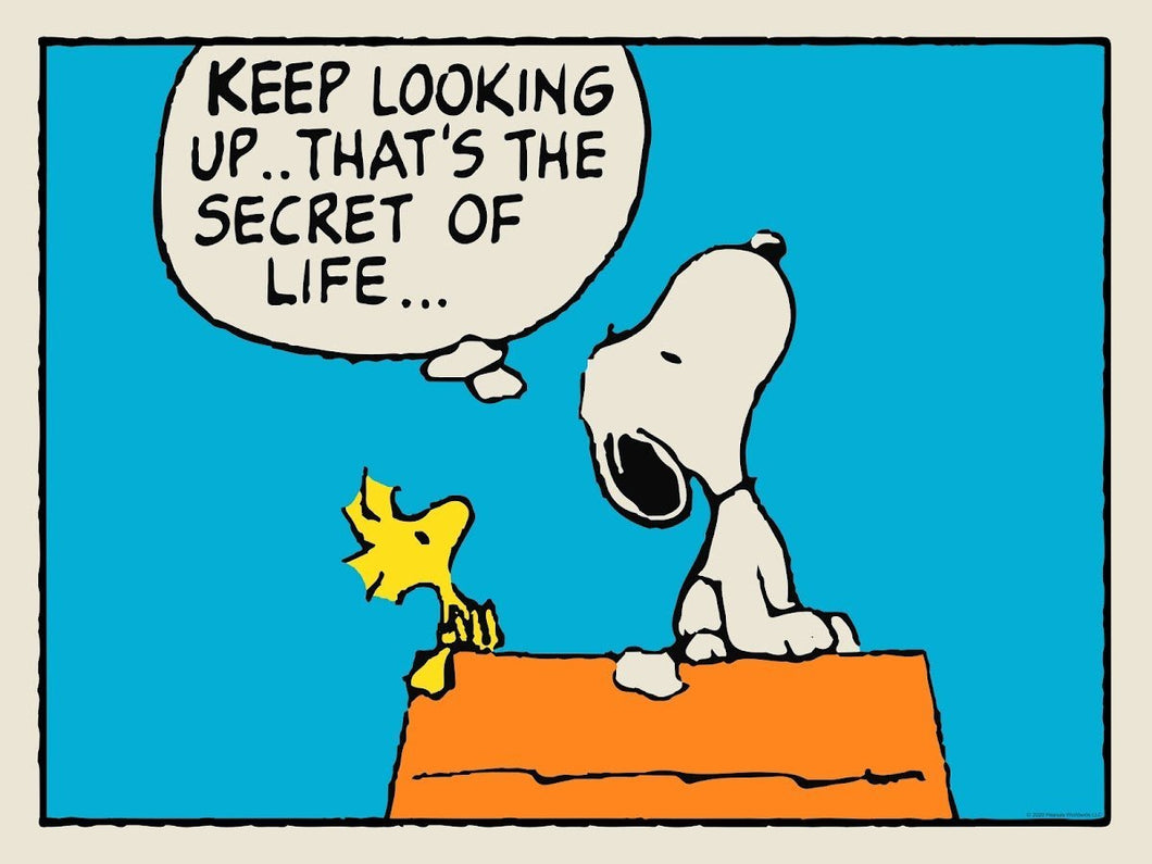 PEANUTS - Keep Looking Up Peanuts 