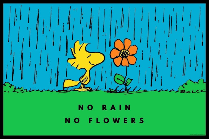 PEANUTS - No Rain No Flowers Peanuts 