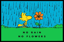 Load image into Gallery viewer, PEANUTS - No Rain No Flowers Peanuts 