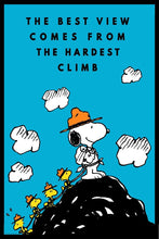 Load image into Gallery viewer, PEANUTS - The Climb Peanuts 