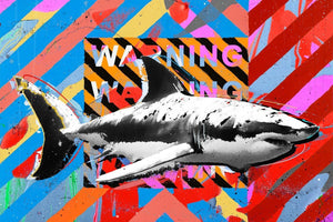 Shark Warning IKONICK Original 